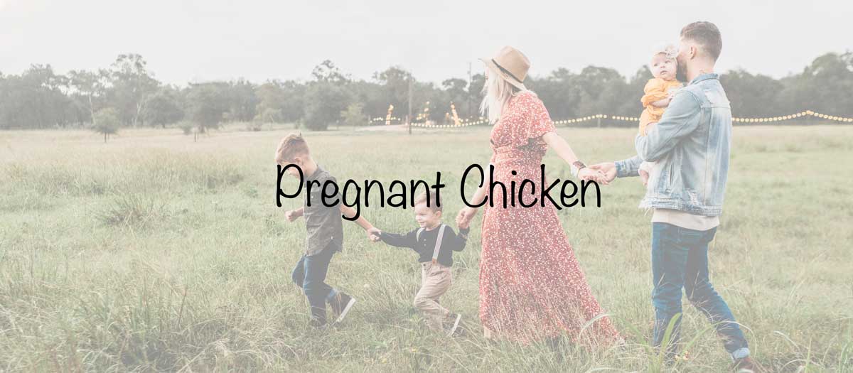 Блоги Мамы Образ жизни # 15   Беременная курица